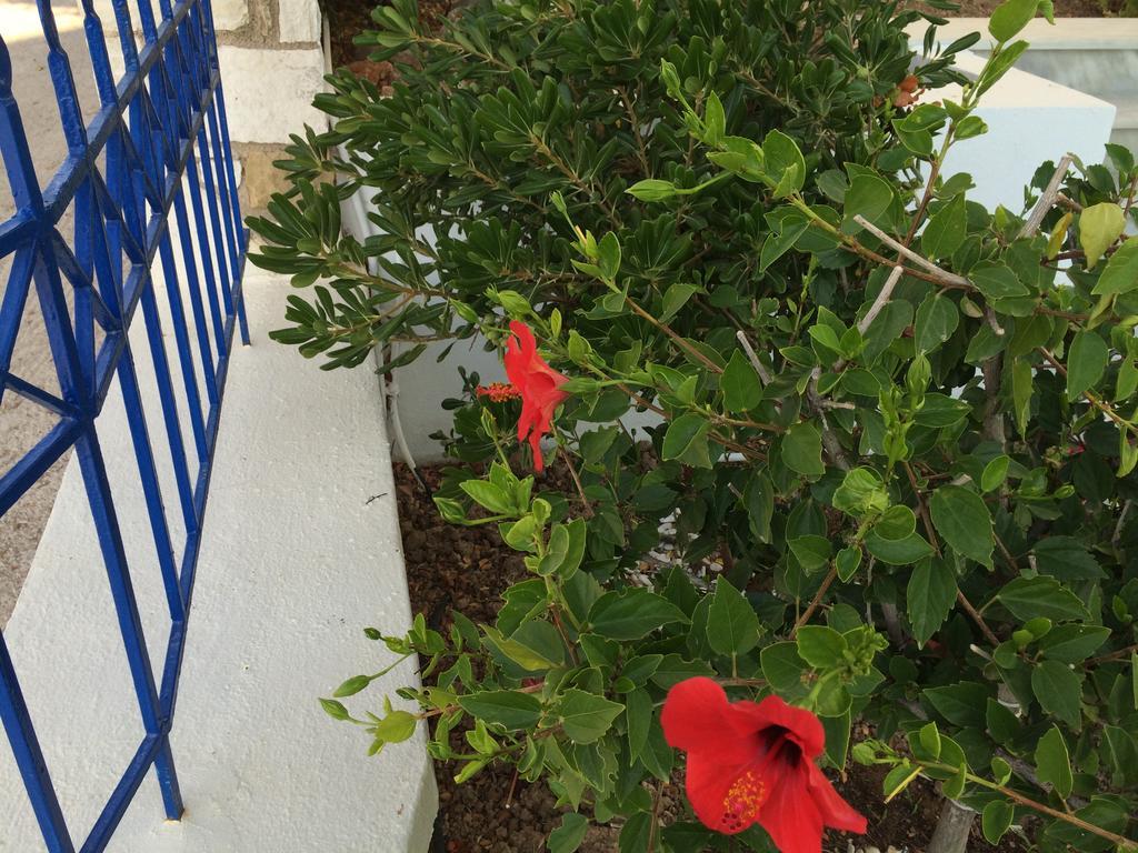 Sea Breeze Apartments Chios Monolia Exterior photo