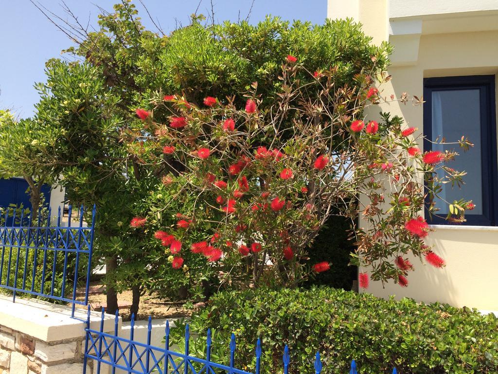 Sea Breeze Apartments Chios Monolia Exterior photo